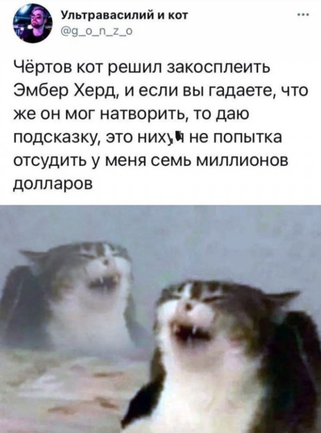 Картинки и мемы для настроения - 29