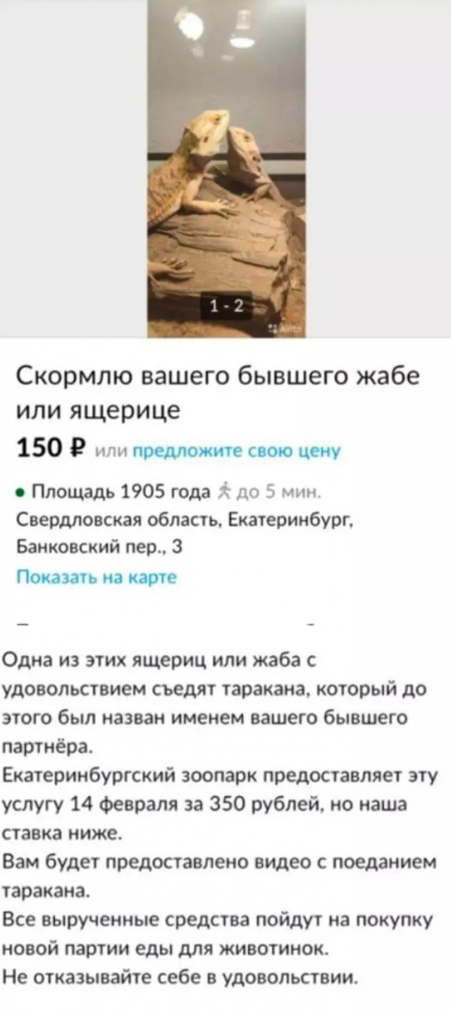 10+ объявлений с известного ресурса, которые опубликовали люди с отличным чувством юмора