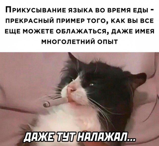 Юмор в картинках и без