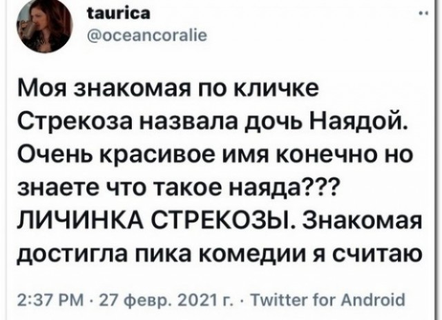 Забавные шутки и картинки из этих ваших интернетов 04.10.2022