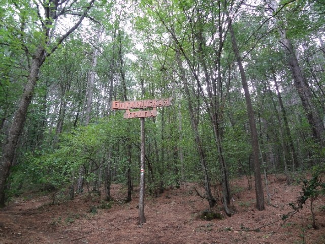 Впервые в Крыму