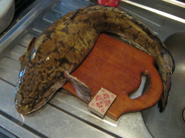 Рыбалки пост