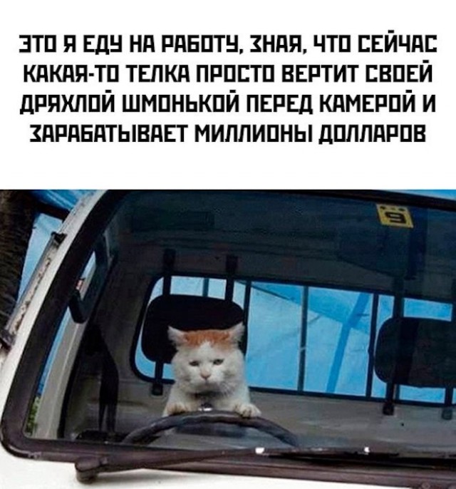 Немного картинок для настроения - 117