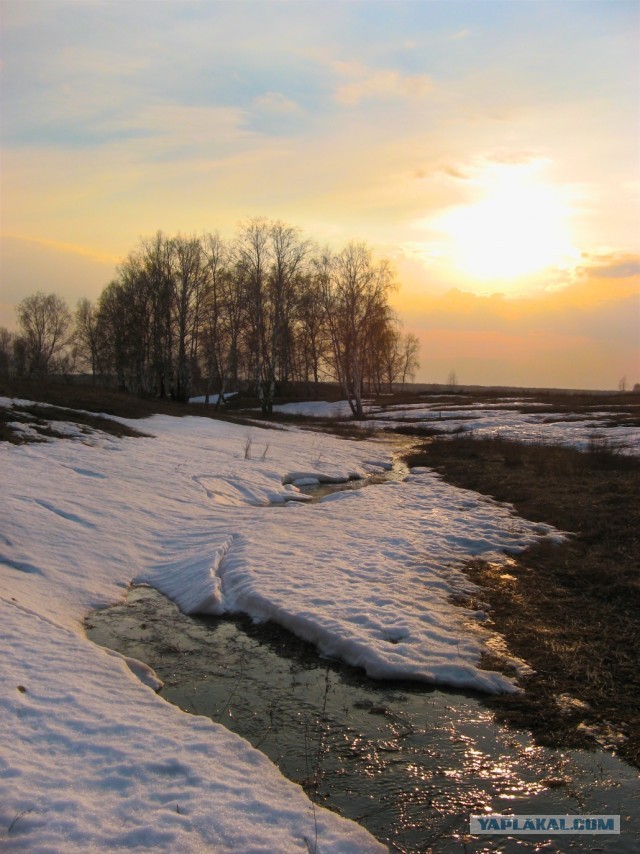 Солнце, небо и лунища