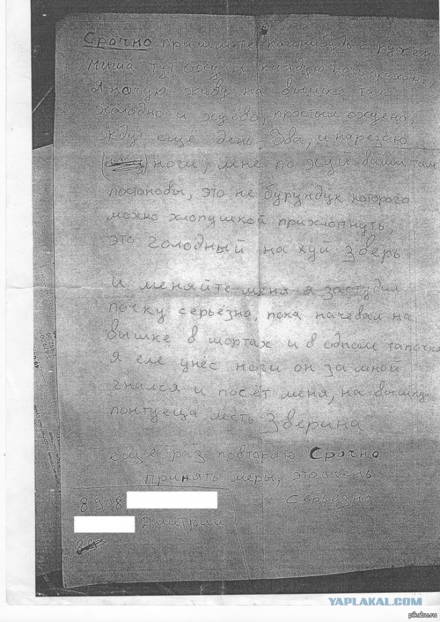 Самолёт из Новосибирска незаконно приземлился на лёд Байкала — пассажиры очень хотели попасть в ресторан.
