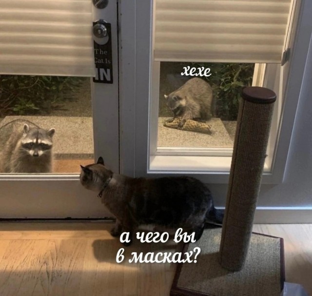 Всего понемногу. От 06.05