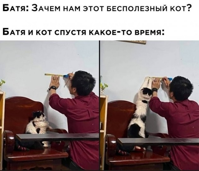 Подборка картинок 06.05.2023