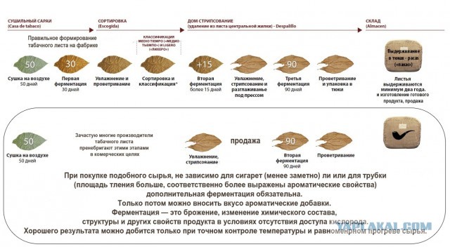 Записки табаковода 3
