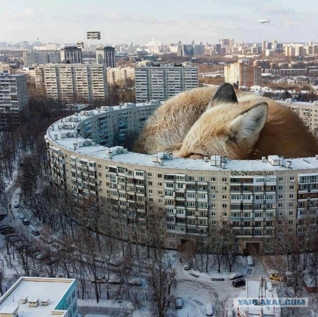 Калейдоскоп картинок