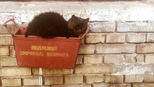 Всего понемногу. От 25.02.24