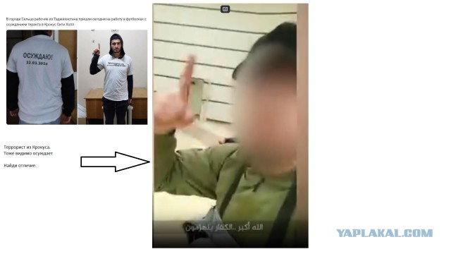 Рабочие из Таджикистана пришли в футболках осуждающих теракт