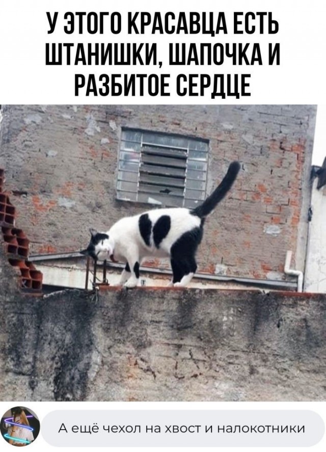 Немного обо всём