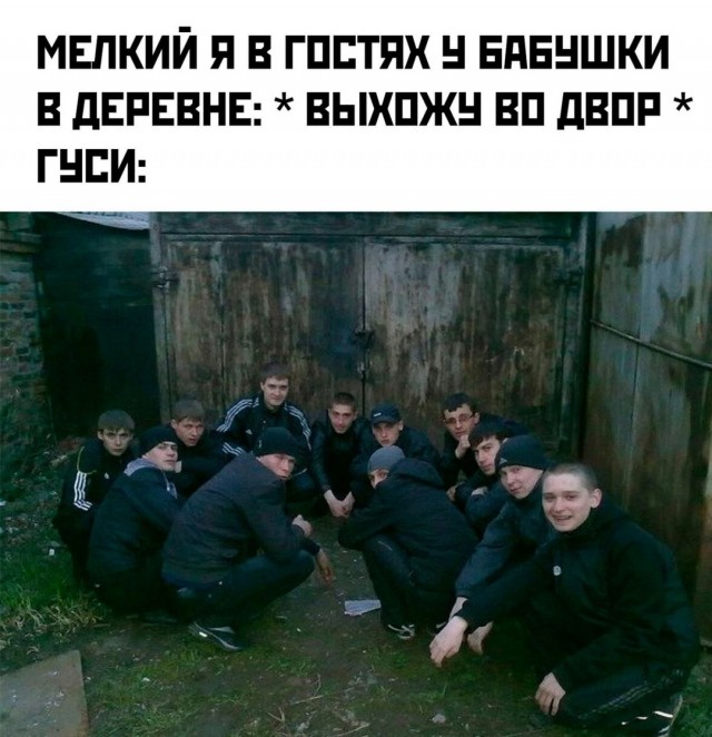 Весёлый полтишок 22.07 24