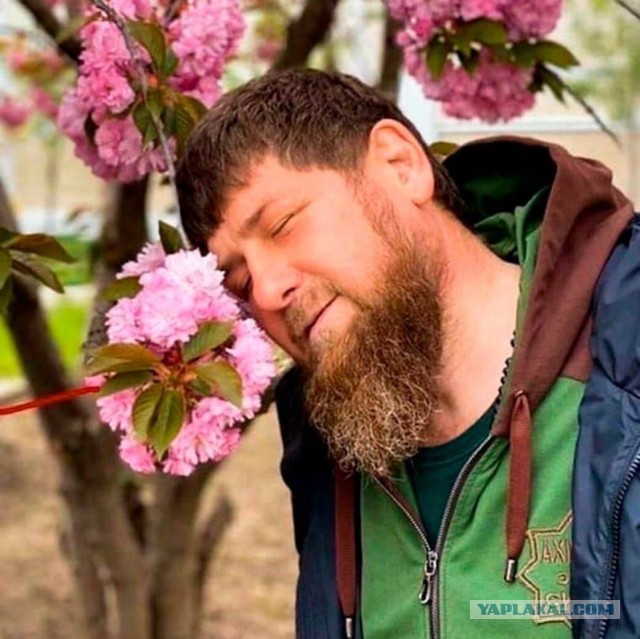Битва за Wildberries официально объявляется открытой!