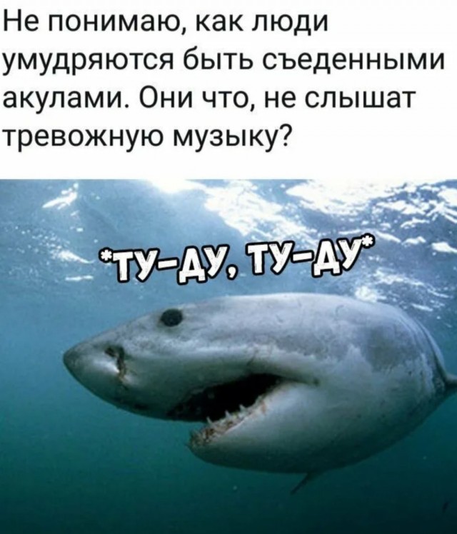 Мама, меня косатки съели
