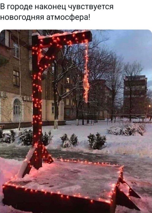 Так себе картинки 24.12.24