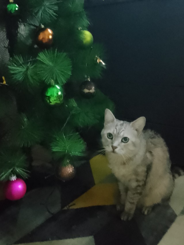 Ну а что? Мне понравилось...