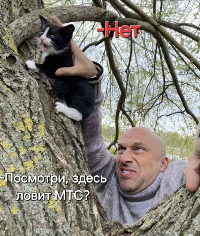 Картинки для деградации 50 (разной степени свежести)