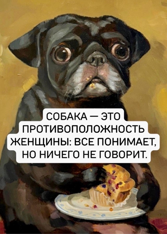 Прикольные и просто красивые картинки 26.09.2025