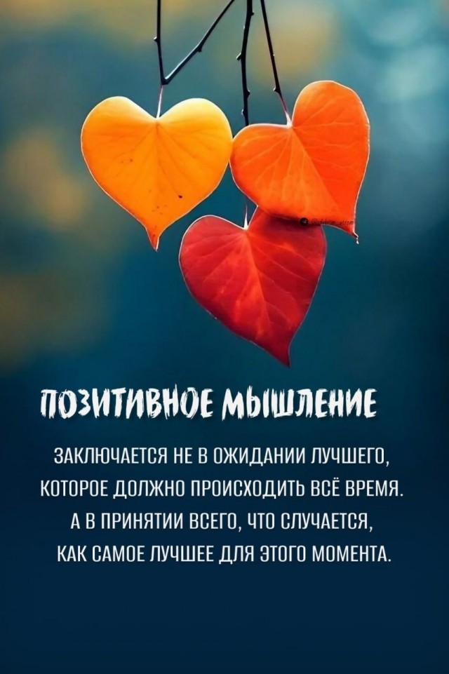 Прикольные и просто красивые картинки 31.10.2025