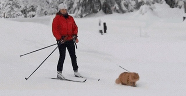 Всё гениальное просто