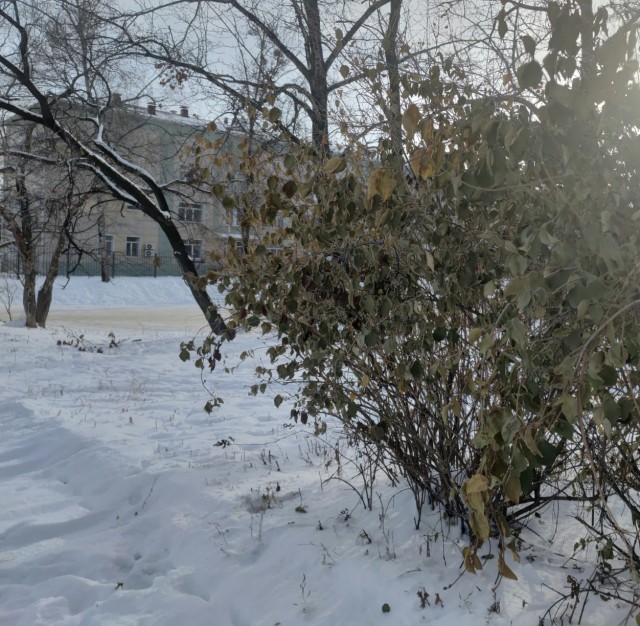 Моя мобильная фотография.