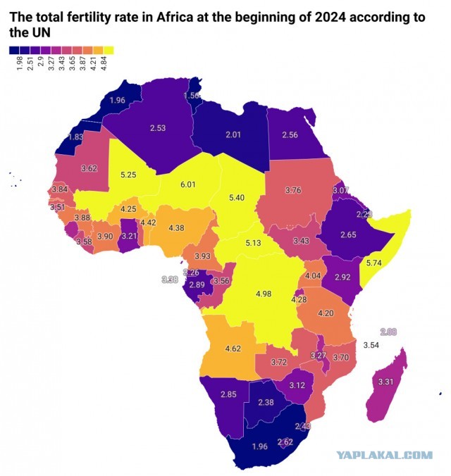 Когда в Кении рождаемость опустится до европейской?