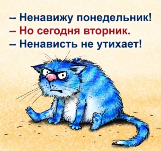Коты минской художницы Рины Зенюк. 2025 год