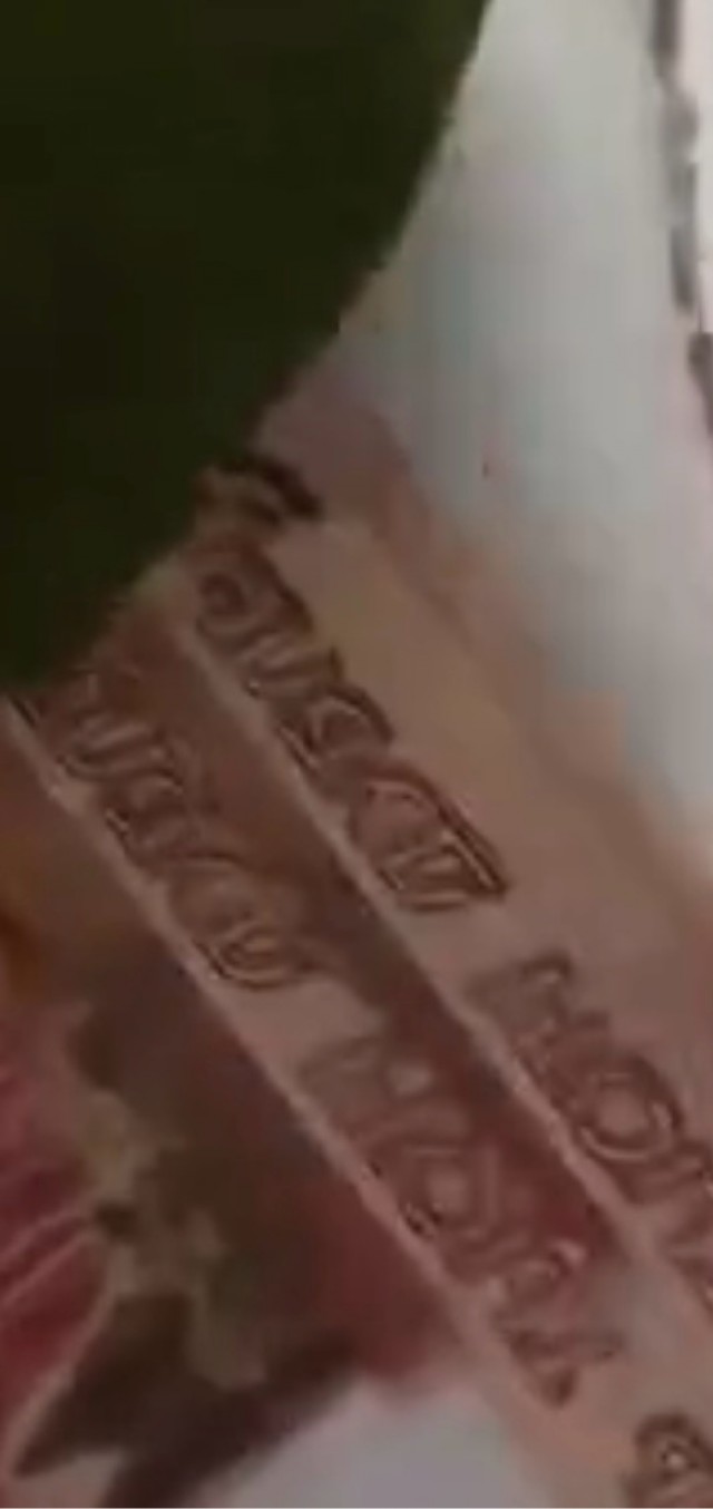 Перья из пятитысячных купюр сделал себе попугай — его хозяева просто оставили наличку на комоде