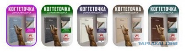Как подстричь кошке ногти?