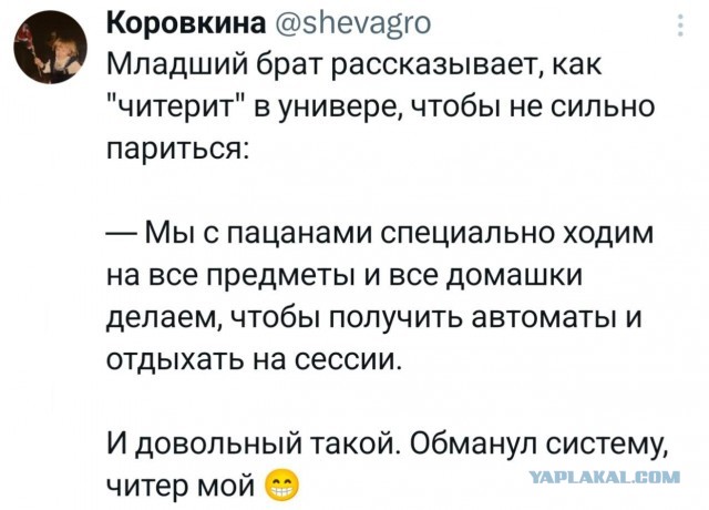 Мамкины