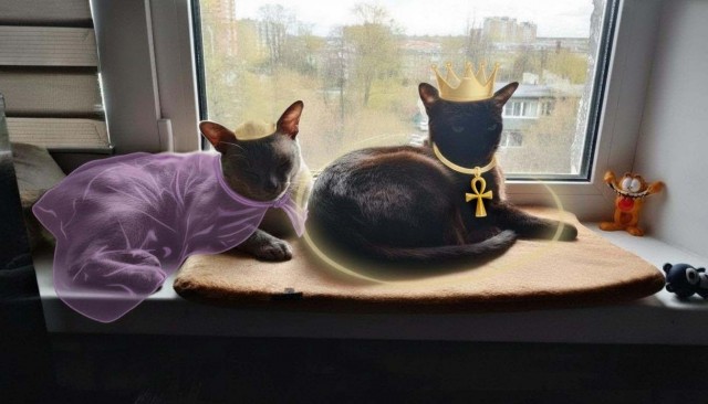Кот и буквы
