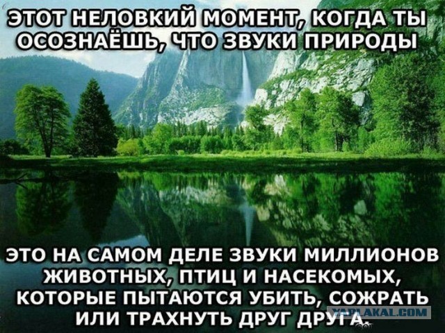 Природа и му*аки