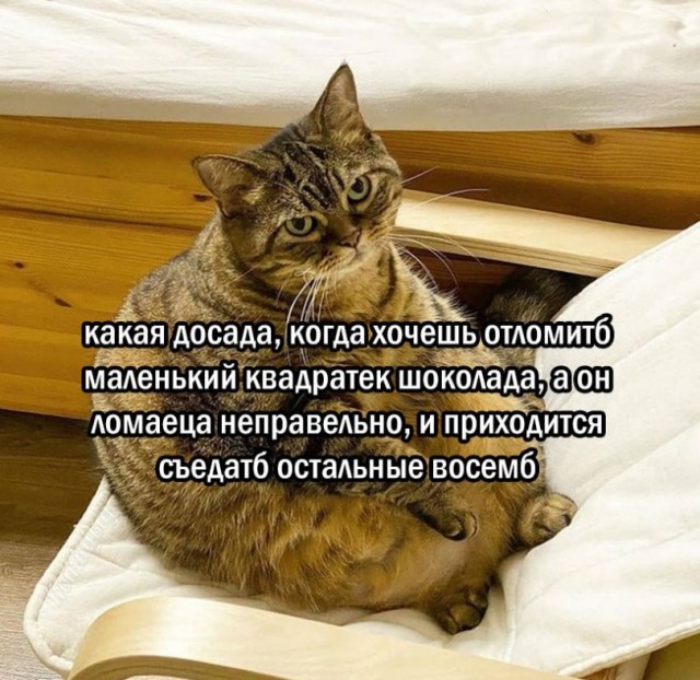 Так себе картинки 17.06.26