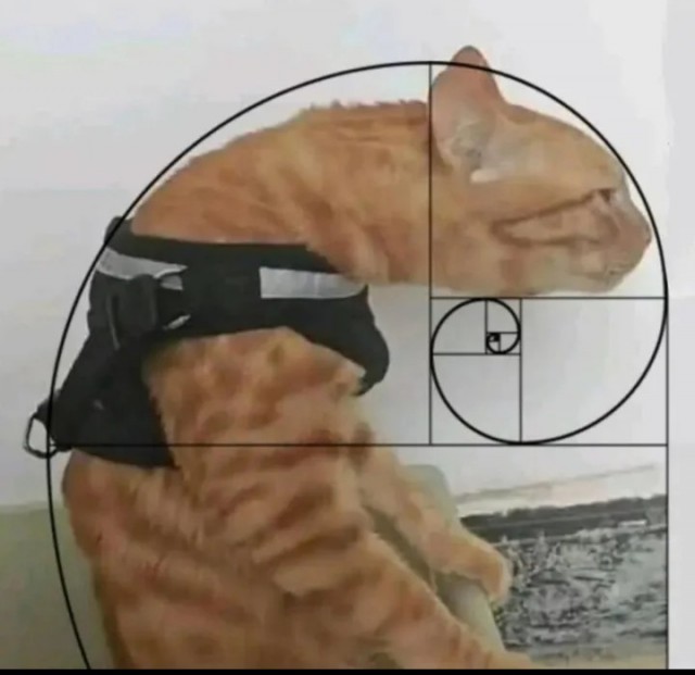 Как приучить Шурупа