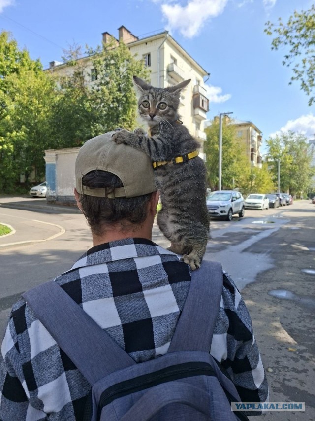 Долго мечтал, хотел и стал РАБОМ!