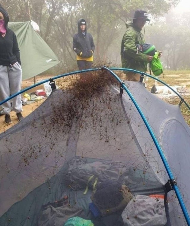Интересные пятничные фотографии со всего мира