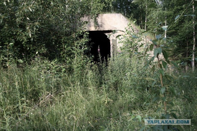 C-25 "Беркут" part1 будет 60 фото+текст