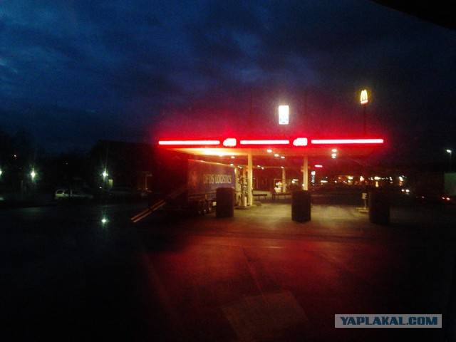 Где яблоки растут!