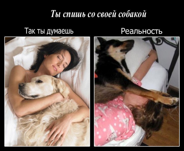 Профилактика ненужных желаний у жены
