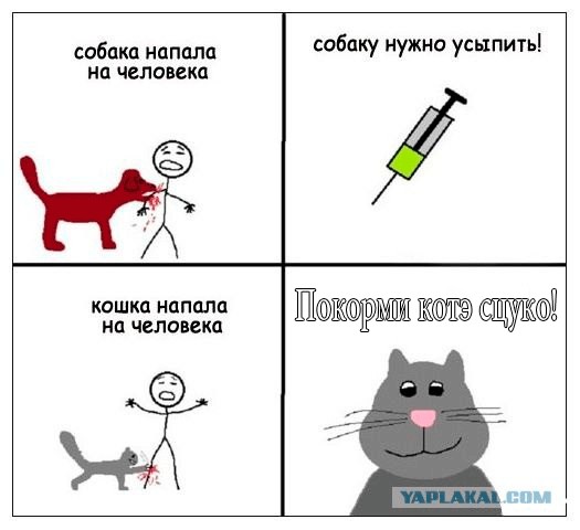 Кошечка