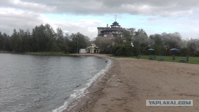 Последнее фото с Вашего телефона.