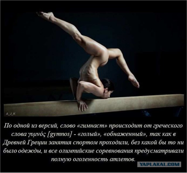 20 фактов обо всем