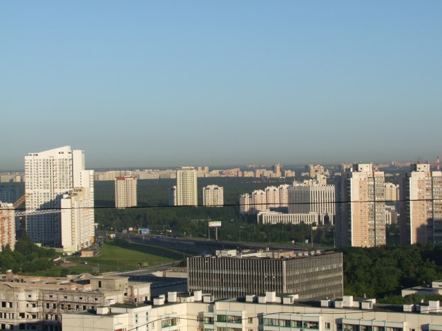 Когда деревья были большими
