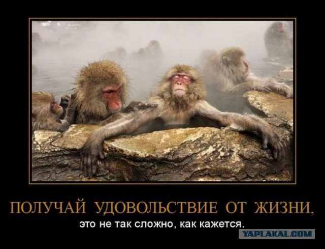 Подборка баянов.