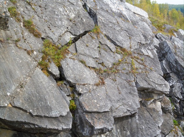 Деревенская Америка