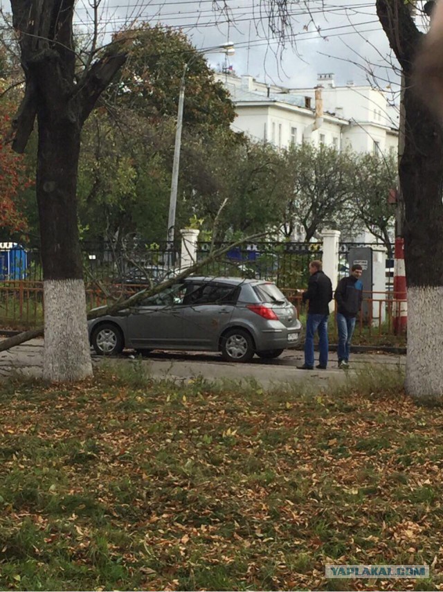 Последствия сильного ветра 3.10.2015