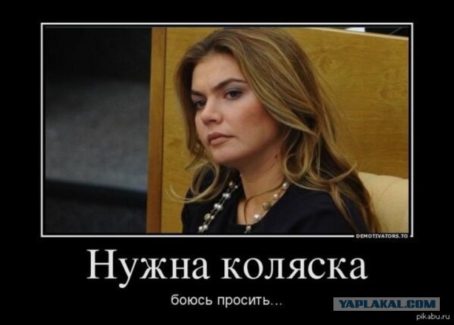 Попросил пса принести палочку