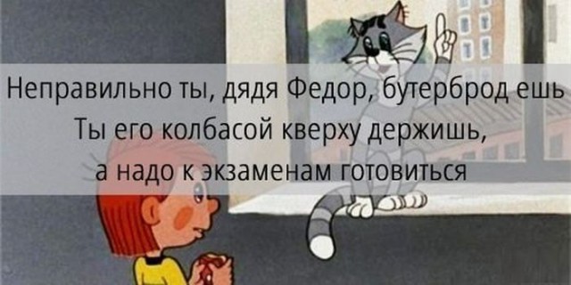 Картинки  из сети