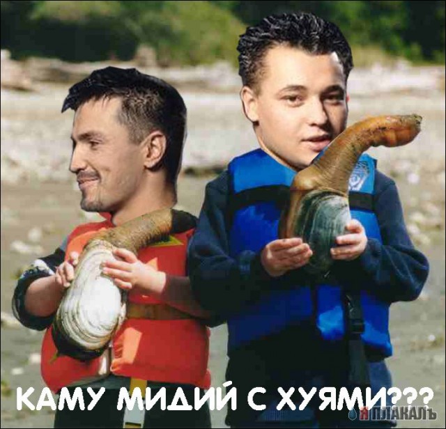 Фотожаба: Руки вверх!